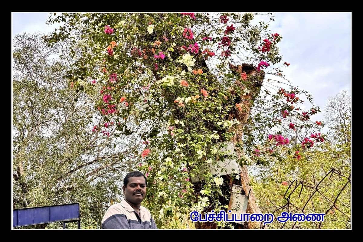 Best Couples Resorts in Paramakudi